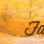 Fall Time Banner