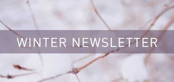 winter newsletter 